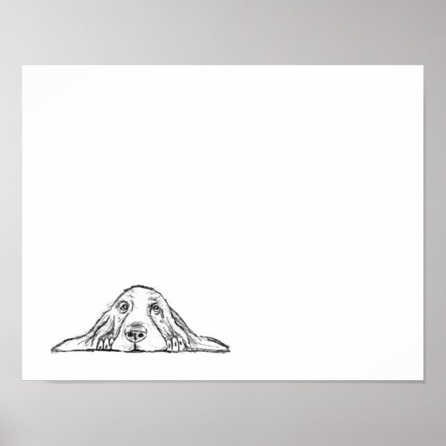 Affiche basset blanc (Devant)