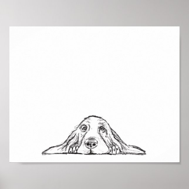 Affiche basset blanc (Devant)