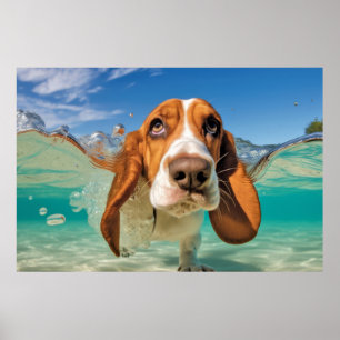 Affiche Basset Hound Animal Chien Animaux Animaux Animaux