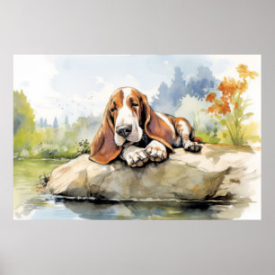 Affiche Basset Hound Chien Se Détendre Dans Le Jardin Anim