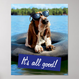 Affiche Basset Hound Dans Les Lunettes De Soleil