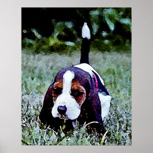Affiche Basset Puppy Walking - Noir Brown Blanc