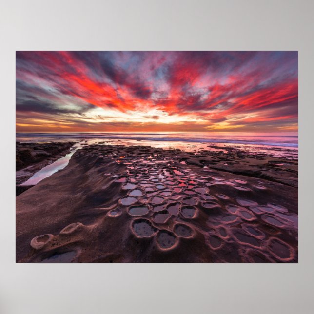 Affiche Bassins à marée à La Jolla, Californie (Devant)