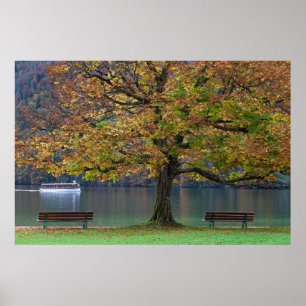 Affiche Bateau sur un lac à l'automne, Allemagne