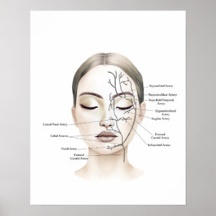 Affiche Bateaux de sang facial Anatomie Art