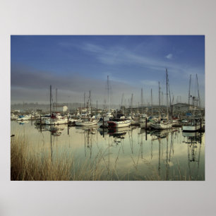 Affiche Bateaux Du Port