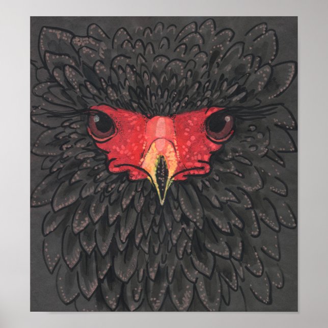 Affiche Bateleur Eagle African Bird Portrait Papier Collag (Devant)