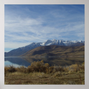 Affiche Bâti Timpanogos et crique de cerfs communs au suje