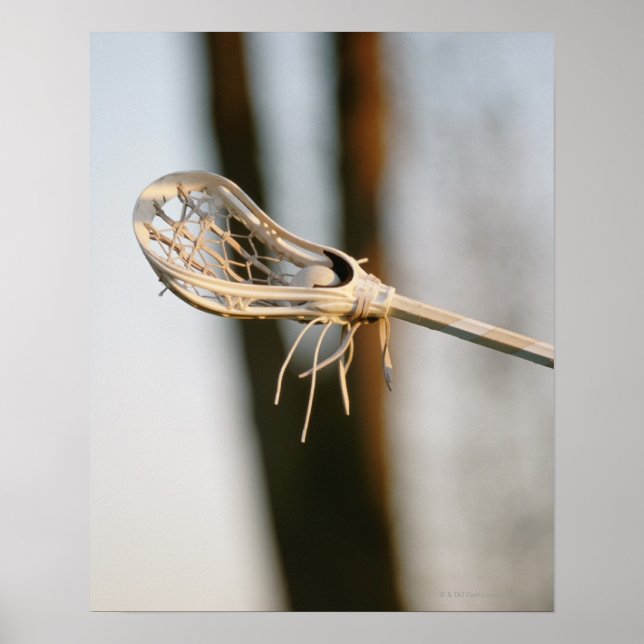 Affiche Bâton de crosse (Devant)