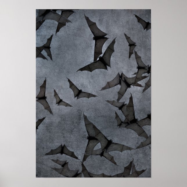 Affiche Bats In The Dark Cloudy Sky (Devant)