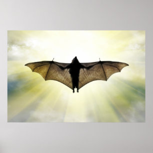 Affiche batte