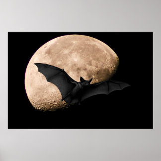Affiche Batty Moon