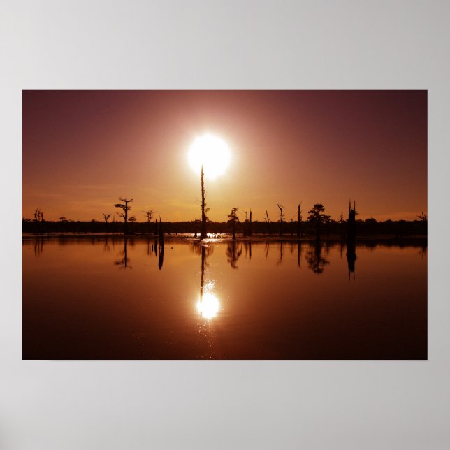 Affiche Bayou Sunset (Devant)