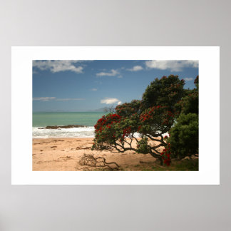 Affiche Beach Bliss - Pohutukawa Tree