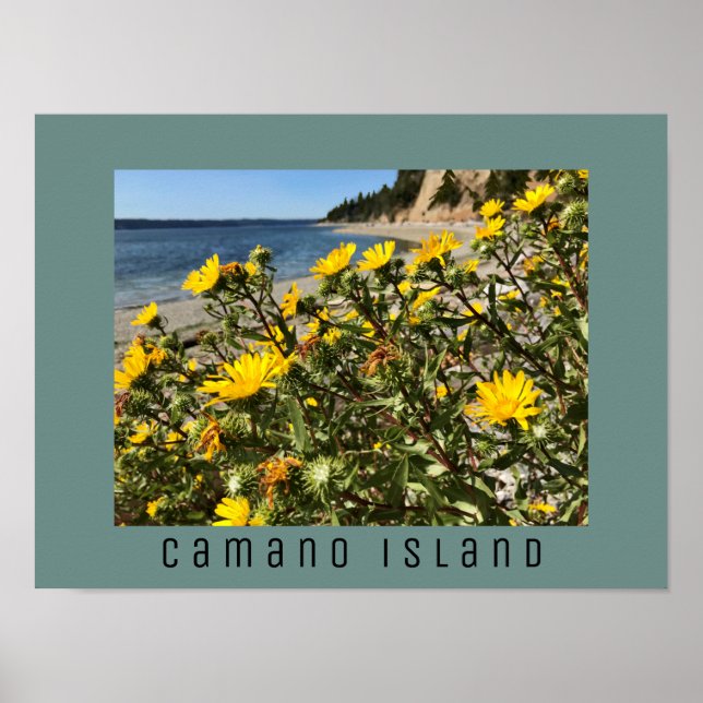 Affiche Beach Camano Island Washington Photographie (Devant)