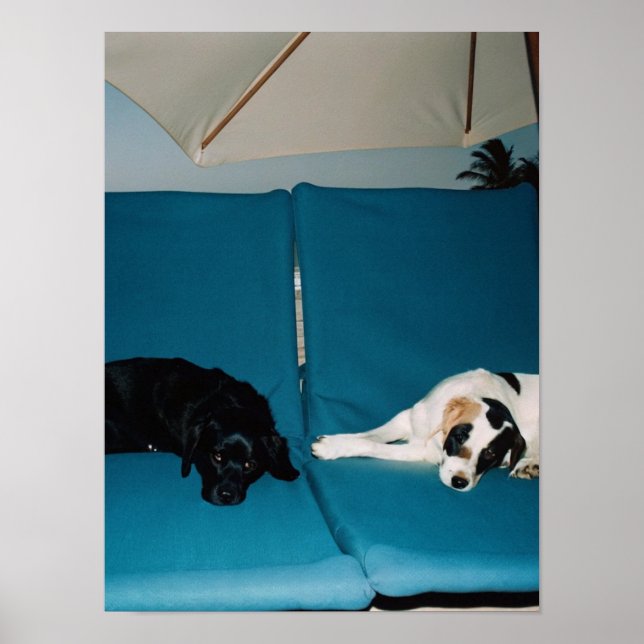 Affiche Beach Nap (Devant)