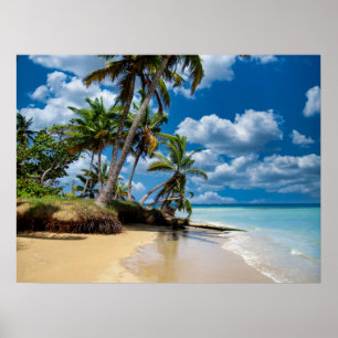 Affiche Beach Ocean Photo 168