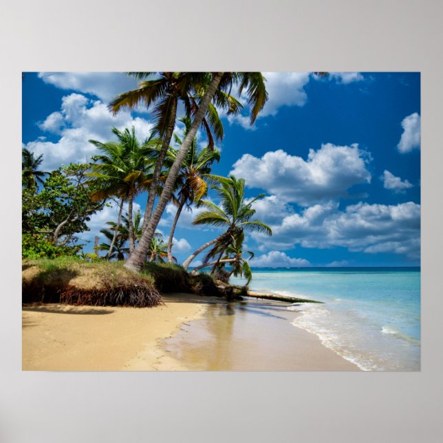 Affiche Beach Ocean Photo 168 (Devant)