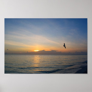Affiche Beach Ocean Sunset Photo 195