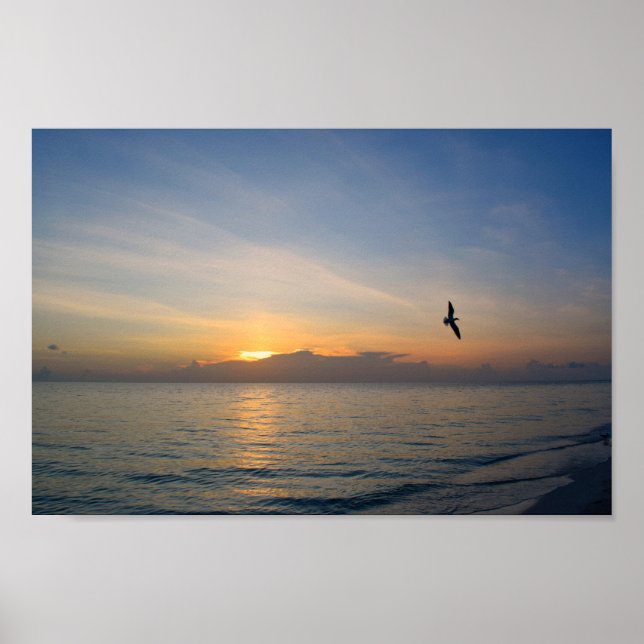 Affiche Beach Ocean Sunset Photo 195 (Devant)