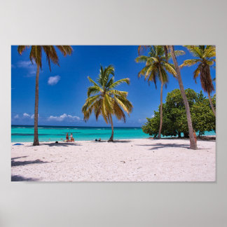 Affiche Beach Palm Trees Summer  Vacation 