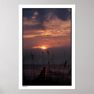 Affiche Beach Sunrise