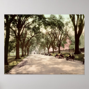 Affiche Beacon Street Mall Boston c1899 Inspiré de l'ancie