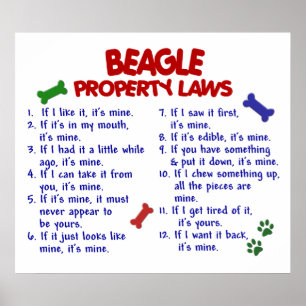 AFFICHE BEAGLE PL2