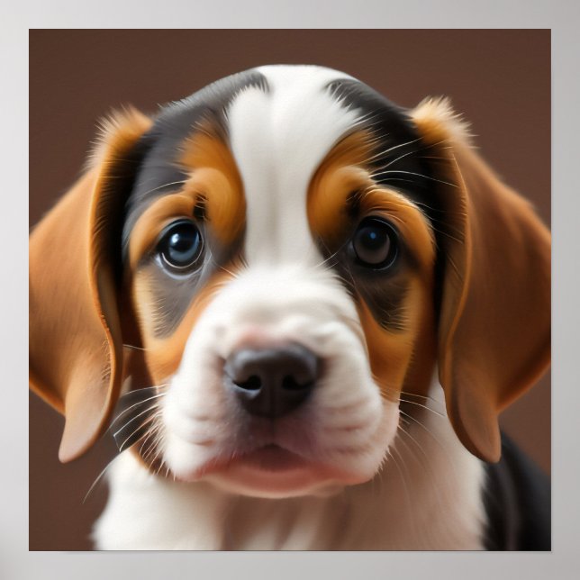 Affiche Beagle Puppy (Devant)