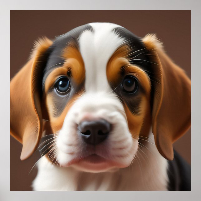 Affiche Beagle Puppy (Devant)