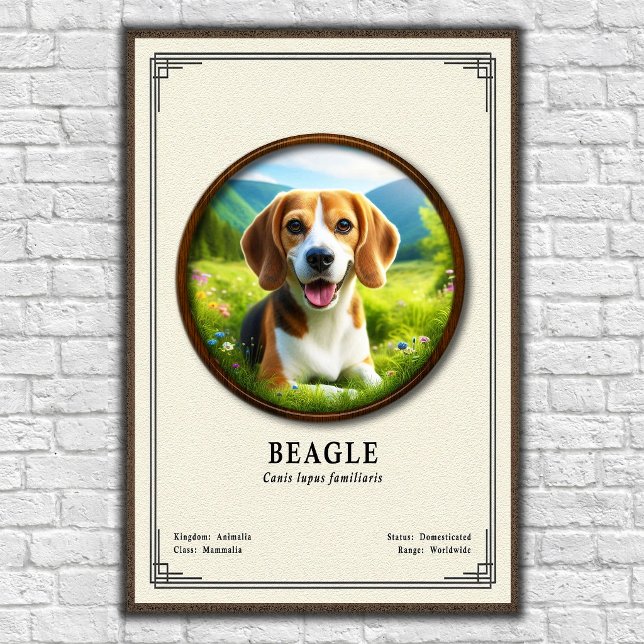 Affiche Beagle Zoology Series (Créateur téléchargé)