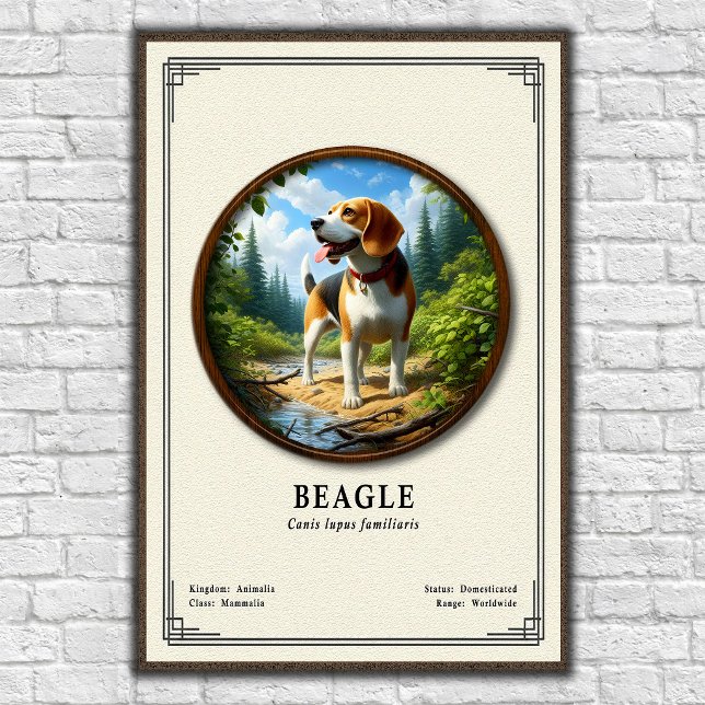 Affiche Beagle Zoology Series (Créateur téléchargé)