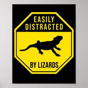 Affiche Bearded Dragon Easily Distracted By Lizards