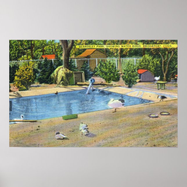 Affiche Beardsley Park Vue sur les oiseaux aquatiques (Devant)
