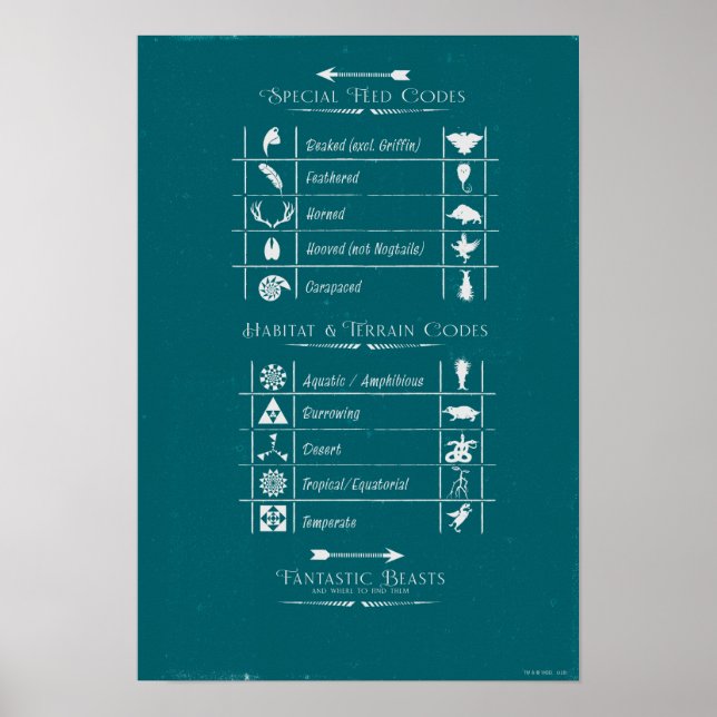 Affiche BEASTS FANTASTIQUES ET OÙ LES TROUVER™Code Graphiq (Devant)