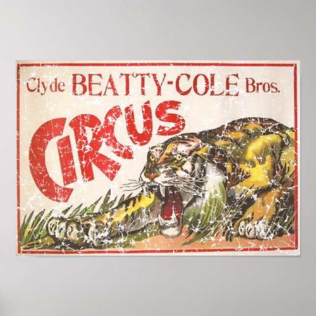 Affiche Beatty Cole Circus - 1903 - en détresse (Devant)
