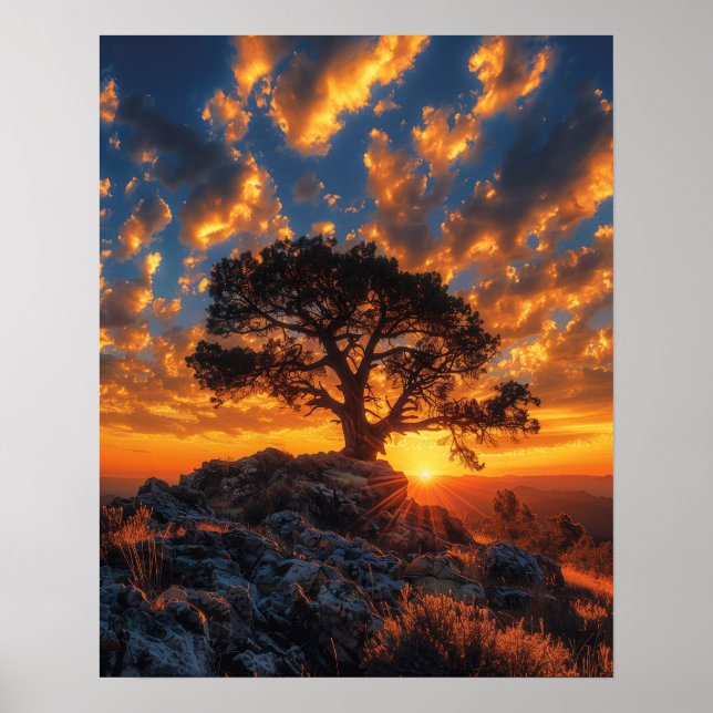 Affiche Beau arbre au coucher du soleil (Devant)