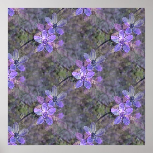 Affiche Beau au printemps.. (Devant)