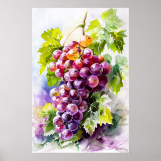 Affiche Beau bouquet de raisins aquarelle