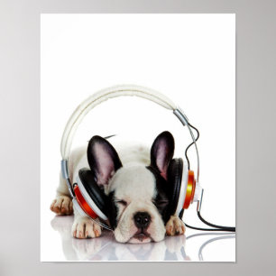 Affiche Beau Bulldog Dormir   Anglais Bulldog Lover