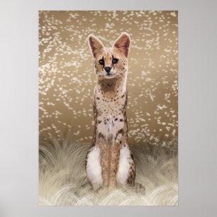 Affiche Beau chapeau serval africain sauvage