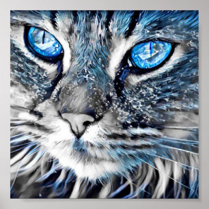 Affiche Beau chat aux yeux bleus
