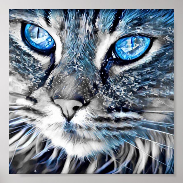 Affiche Beau chat aux yeux bleus (Devant)