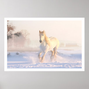 Affiche Beau Cheval Blanc