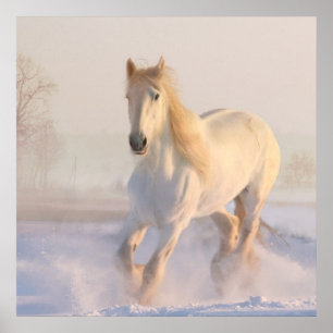 Affiche Beau Cheval Blanc Galloping dans la neige
