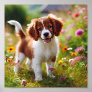 Affiche beau chiot breton