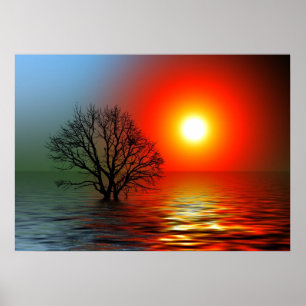 Affiche Beau coucher de soleil