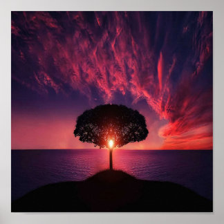 Affiche Beau coucher de soleil