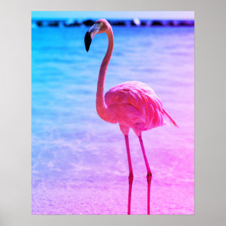 Affiche Beau Flamant rose dans l'eau sur une plage
