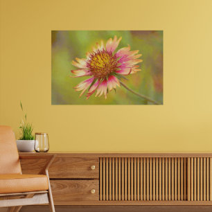 Affiche Beau Fleur sauvage Firewheel Art